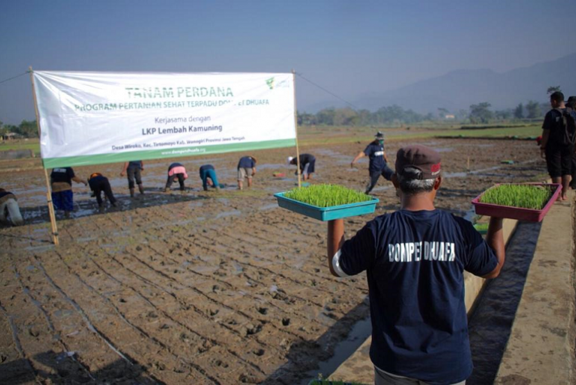 Dompet Dhuafa kerja sama dengan Lembaga Kursus dan Pelatihan (LKP) Lembah Kamuning melakukan pelatihan pengelolaan sawah dengan pola tanam System Rice Intensification (SRI).