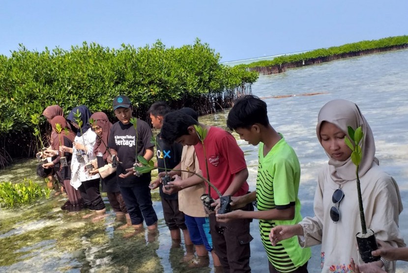 Dompet Dhuafa, Rumah Hijau, pelajar, warga, komunitas, NGO dan pemerintah menanam bibit mangrove di Pulau Pramuka, Kepulauan Seribu, Jakarta, Rabu (14/8). 