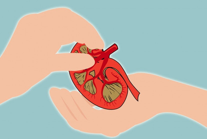 Donor organ (ilustrasi). Pasien yang mendapatkan organ donor dari mendiang pasien Covid-19 memiliki risiko kematian yang lebih besar dalam kurun waktu satu tahun.