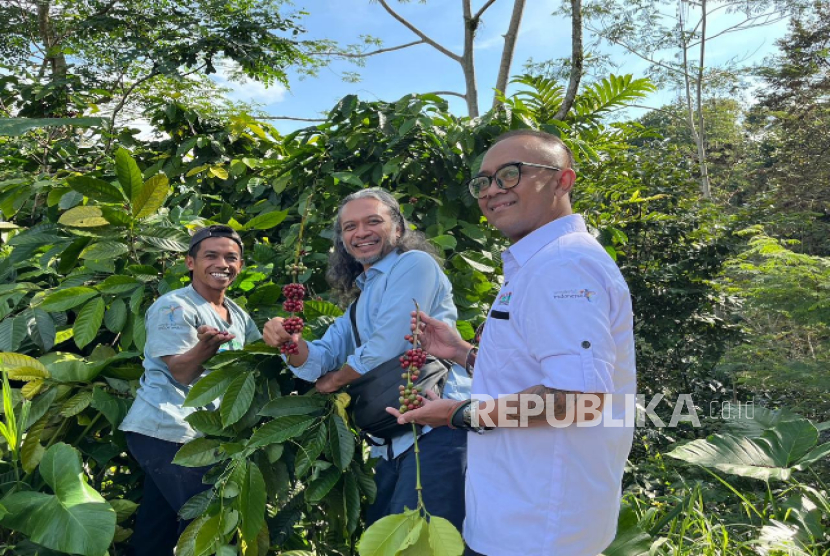 Dosen AKPRIND dan STIPRAM mengikuti proses panen kopi khas Suroloyo di Kebun milik mitra.