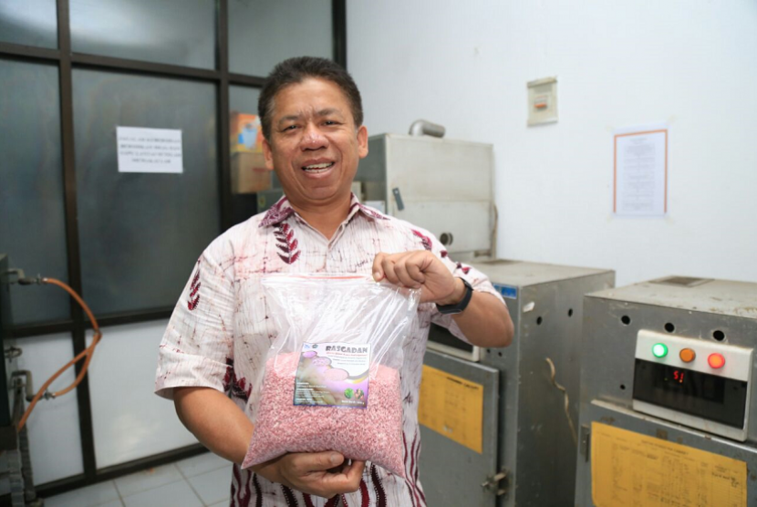 Dosen UMM, Damat menciptakan inovasi beras analog berbahan baku umbi garut.