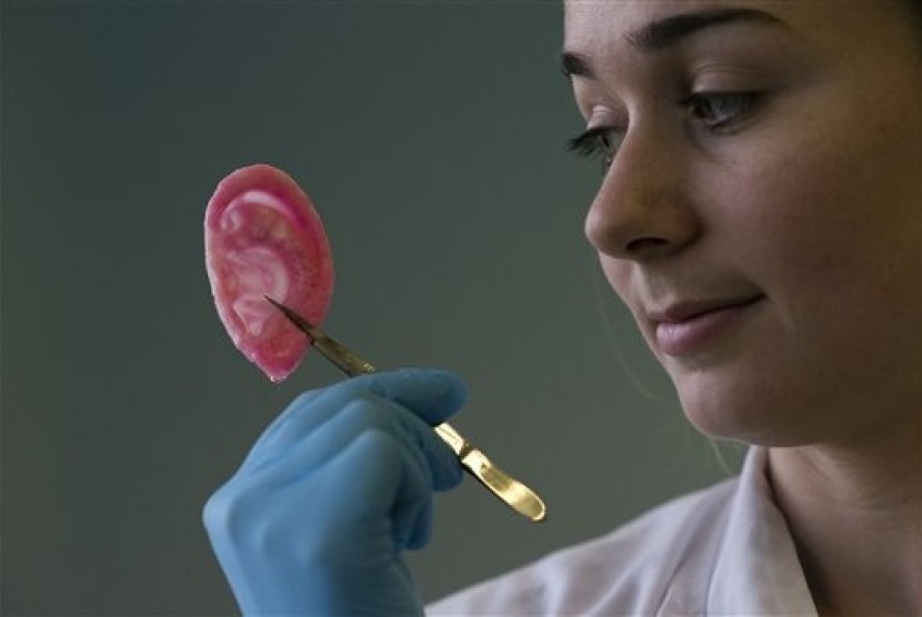 Dr Michelle Griffin, a plastic research fellow, poses for photographs with a synthetic polymer ear at her research facility in the Royal Free Hospital in London, Monday, March 31, 2014. 