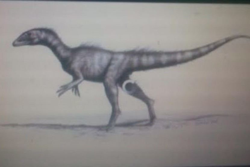 Dracoraptor danigani
