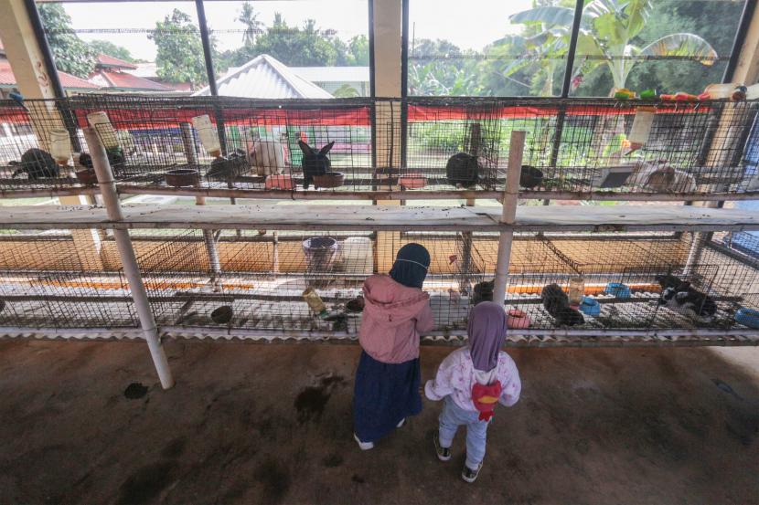 Dua anak melihat kelinci di taman kelinci Bambu Apus, Jakarta Timur, Sabtu (6/8/2022). Selain menjadi objek wisata, taman yang memiliki koleksi berbagai jenis kelinci menjadi tempat edukasi satwa bagi anak-anak usia dini. 
