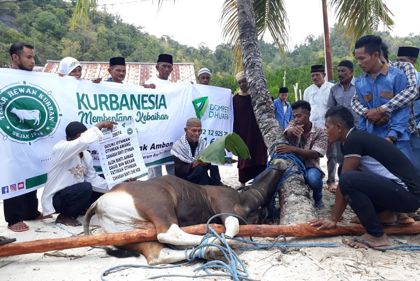 Dua ekor sapi bantuan dari Dompet Dhuafa siap disembelih warga di Dusun Tatinang, Kabupaten Seram Bagian Barat, Rabu (22/8).  