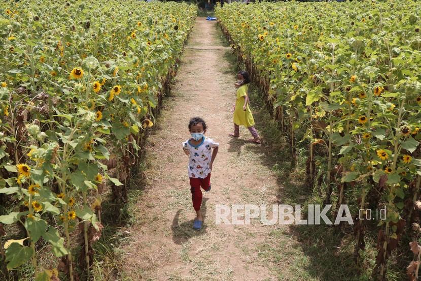 Dokter spesialis anak mengatakan pemberian vitamin D yang rutin setiap hari dapat mengurangi kejadian alergi berulang.