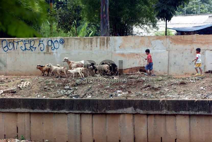 Dua orang anak menggembala kambing peliharaan milik ayahnya di Banjir Kanal Barat, Tanah Abang, Jakarta Pusat, Jumat (5/9).  (Republika/Raisan Al Farisi)