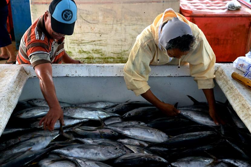 Ikan tuna (ilustrasi). Pos Pelayanan Kapal Ikan Pelabuhan Perikanan Nusantara (PPN) Pengambengan di Benoa, Denpasar, mencatat produksi tuna di Bali pada 2022 mencapai 27.037 ton.