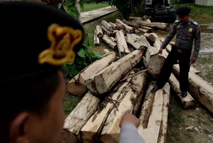 Dua personel kepolisian menunjukan barang bukti kayu jati curian dari hutan lindung di Kabupaten Konawe, Sulawesi Tenggara, Kamis (17/3).