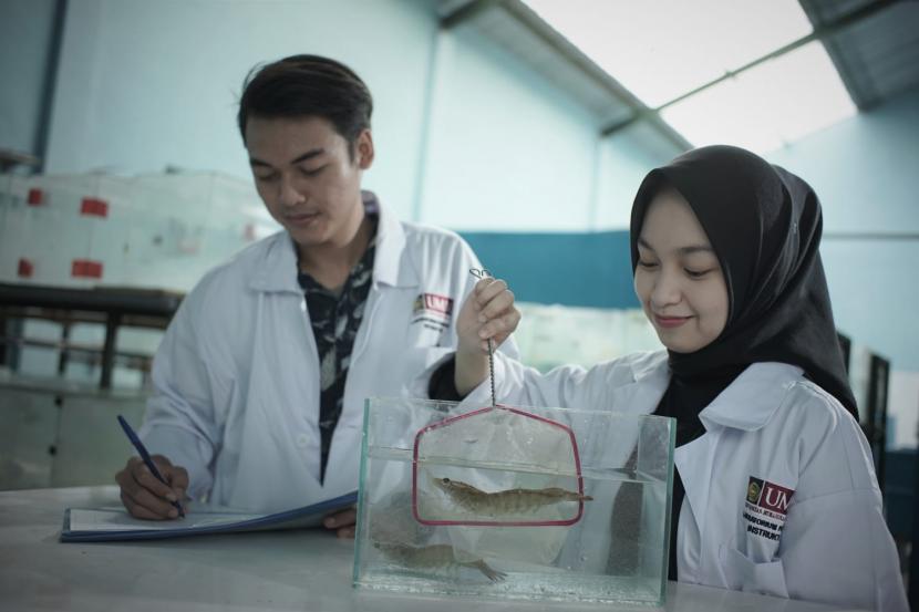 Dua peserta kelas udang Universitas Muhammadiyah Malang (UMM) tengah menilai kualitas udang dalam kelas profesional. 