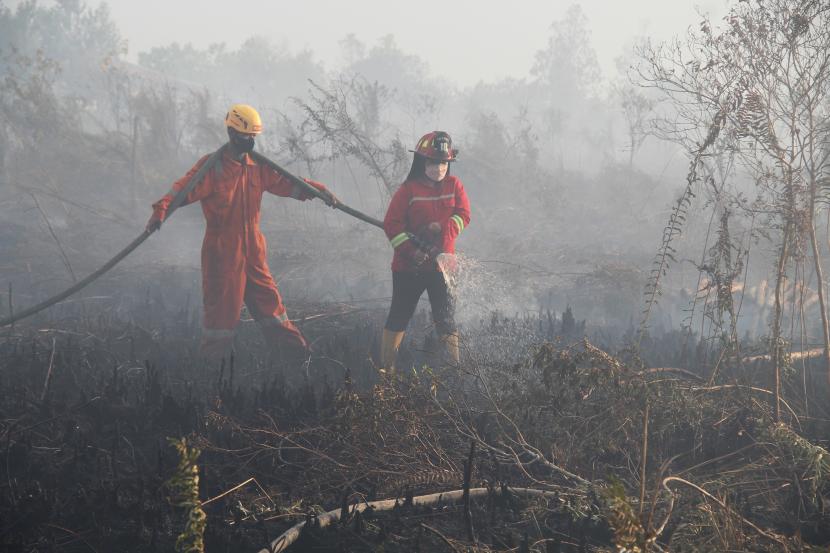 Dua petugas pemadam kebakaran melakukan pembasahan pada lokasi kebakaran hutan dan lahan (karhutla). Ilustrasi.