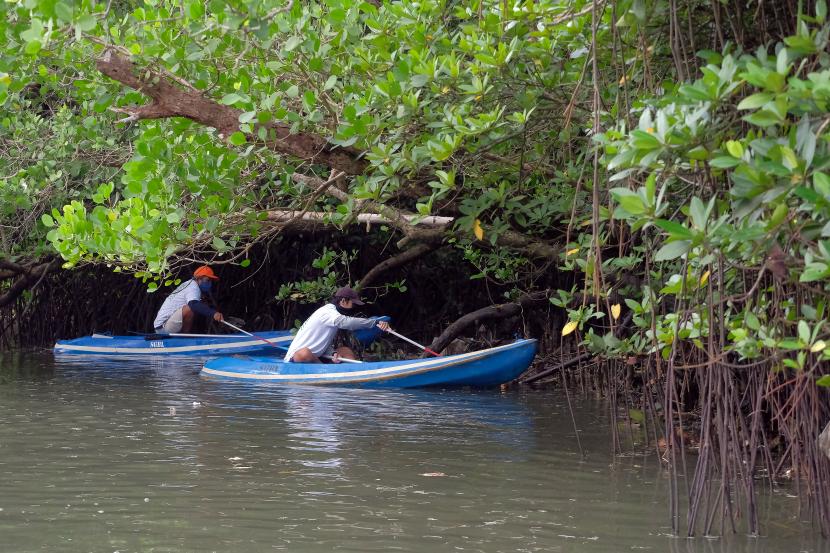awasan Mangrove Conservation Forest Bali, Denpasar, Bali. Pengolahan limbah di kawasan pesisir membantu peningkatan ekonomi