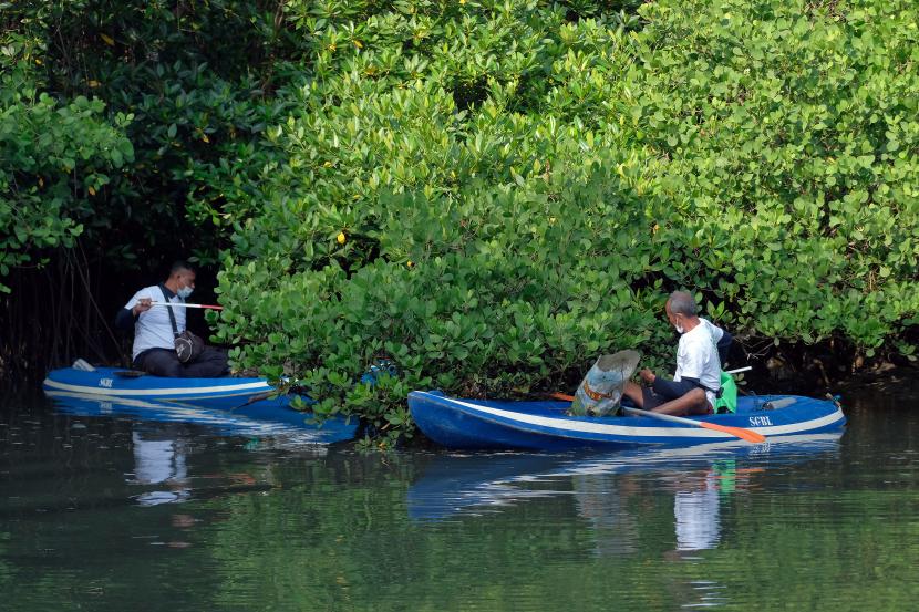 Masyarakat Kaledupa di Kabupaten Wakatobi, Sulawesi Tenggara, menjaga ekowisata hutan mangrovedi daerah itu dengan penerapan aturan adat. 