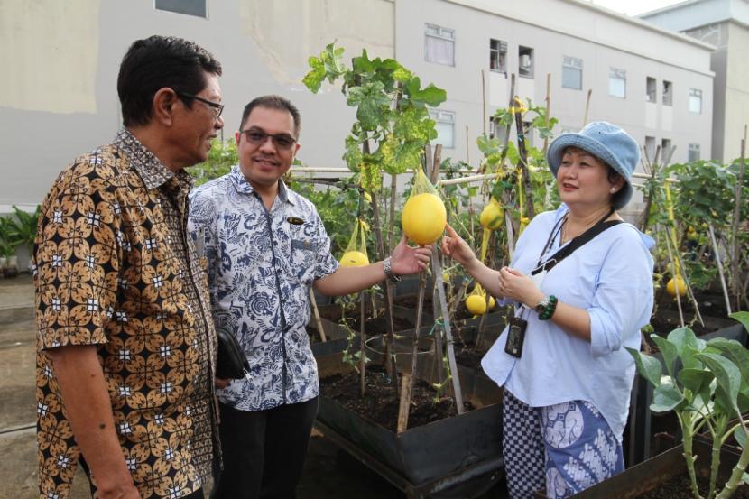 Dukung RTH, ICM Manfaatkan Atap Apartemen Kelolaan untuk <em>Urban Farming</em>