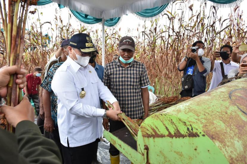 Dunia pertanian di Provinsi Kepulauan Bangka Belitung (Babel) mulai menggeliat, bahkan terakhir angka statistik menempatkan provinsi di bawah pimpinan Erzaldi Rosman ini tertinggi di Indonesia.