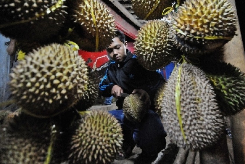 Pekalongan menggelar festival durian sebagai upaya meningkatkan pariwisata lokal.