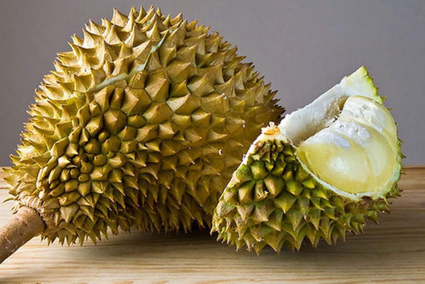 .Warga Desa Plangkrongan Kecamatan Poncol Kabupaten Magetan, Jawa Timur, mengenalkan durian varietas unggulan produksi daerah setempat yang diberi nama 