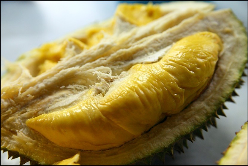 Durian ternyata tinggi kalori dan kaya kandungan gulanya. Namun, durian tidak mengandung kolesterol dan merupakan sumber lemak baik.