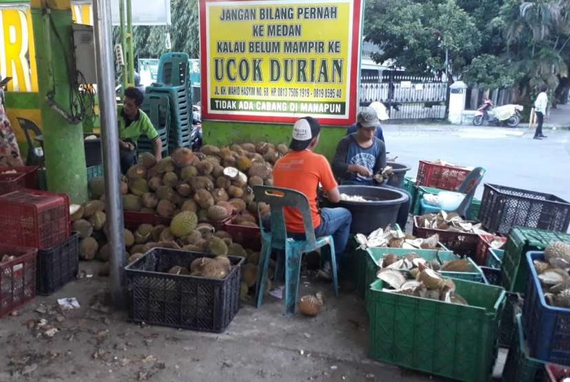 Durian Ucok.