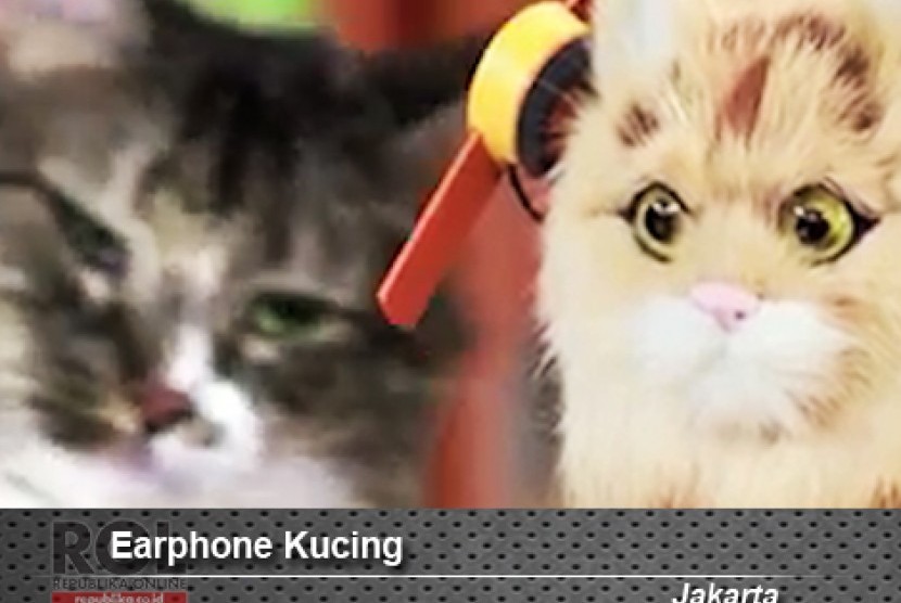 Earphone Kucing