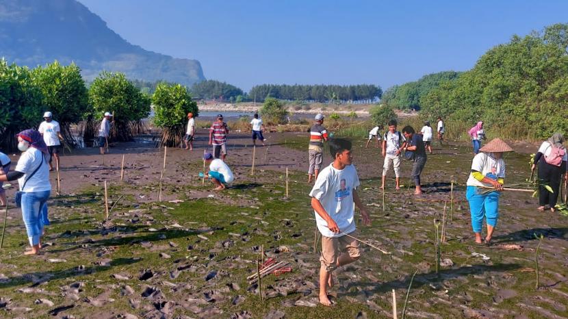 Edukasi dan penanaman pohon mangrove kepada masyarakat dan nelayan di Pantai Pancer Puger,  Kecamatan Puger, Kabupaten Jember, Jawa Timur. 