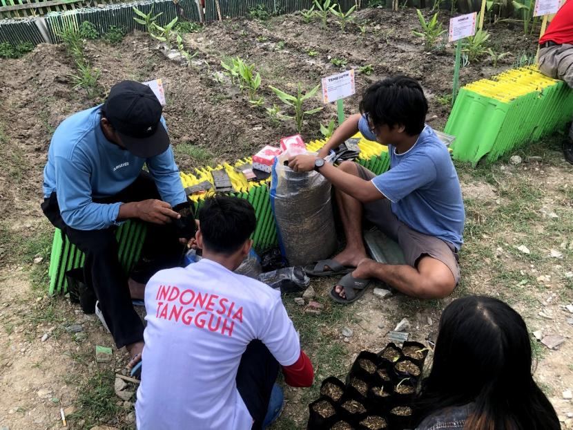 Edukasi pentingnya budi daya tanaman obat keluarga (Toga) yang dilaksanakan di Jalan Sisingamangaraja, RT 002/RW 003, Kelurahan Talise Valangguni, Kecamatan Mantikulore, Kota Palu, Sulawesi Tengah.