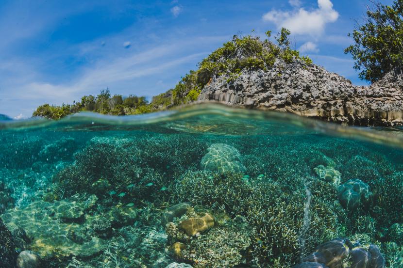 Pariwisata memberikan dampak buruk bagi ekosistem laut sehingga memerlukan mitigasi.