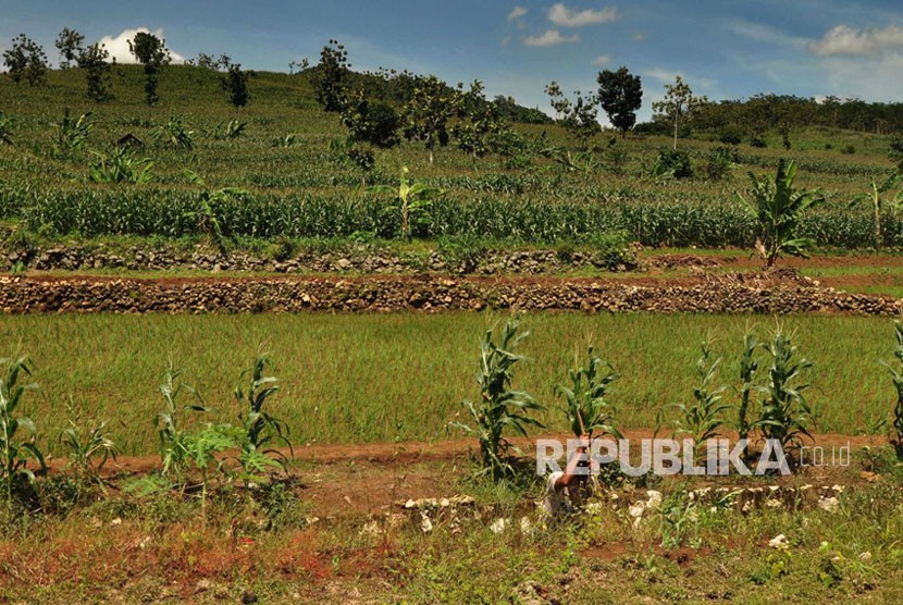 Embung Tegaldowo di Desa Tegaldowo, Kecamatan Gunem, Kabupaten Rembang, Jawa Tengah dan aktivitas pertanian warga Ring I pabrik PT Semen Indonesia di Rembang. 
