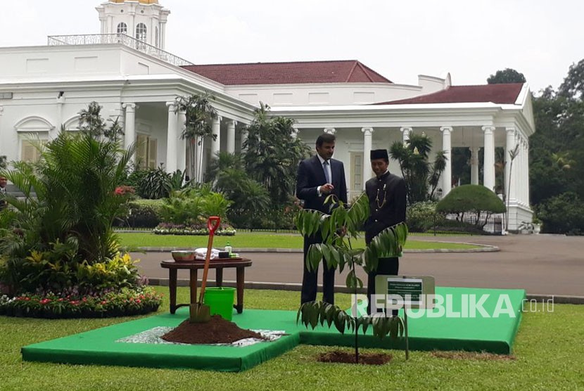 Emir Qatar Syekh Tamim bin Hamad Al Thani bersama Presiden Joko Widodo menanam pohon Eboni di halaman belakang istana negara,Bogor (18/10). 