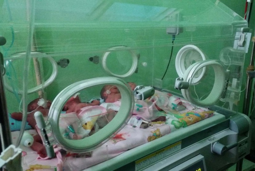 Bayi kembar dalam inkubator