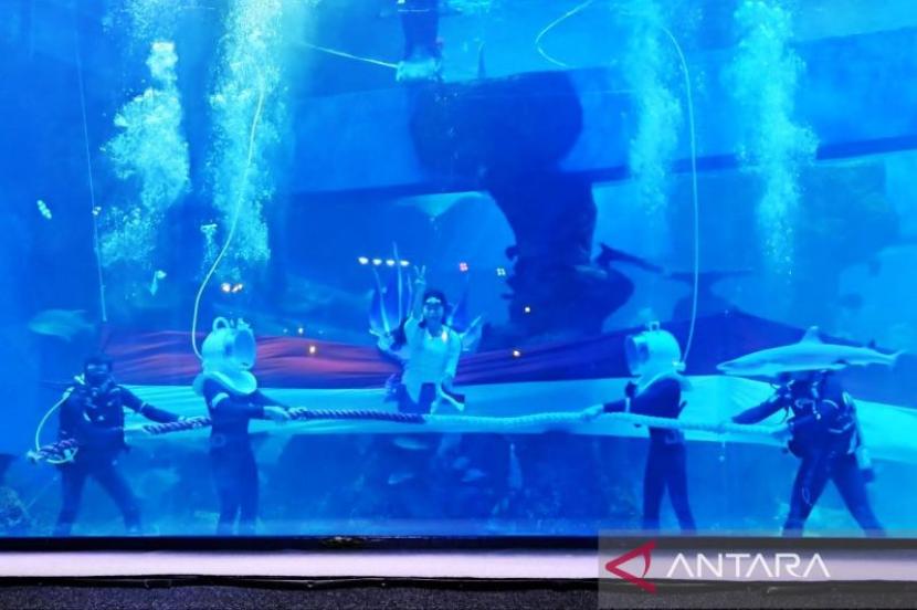 Empat penyelam berlomba tarik tambang dalam air yang diwasiti oleh penyelam wanita berkostum putri duyung di Jakarta Aquarium & Safari dalam rangka merayakan HUT ke-78 RI, Kamis (17/8/2023).