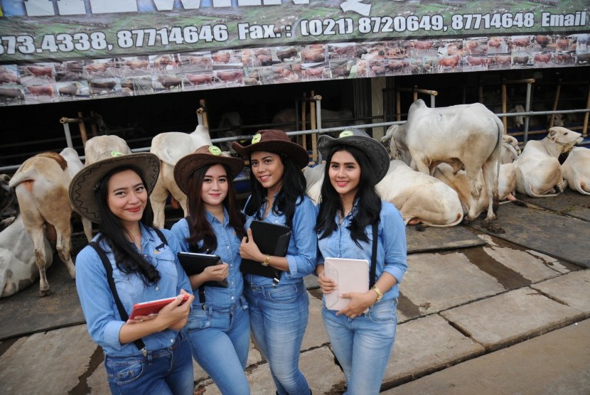 [Ilustrasi] Empat Sales Promotion Girl (SPG) berpakaian ala koboi menunggu pembeli di Mal Hewan Kurban Haji Doni, Jalan Akses UI, Kelapa Dua, Depok, Jawa Barat.