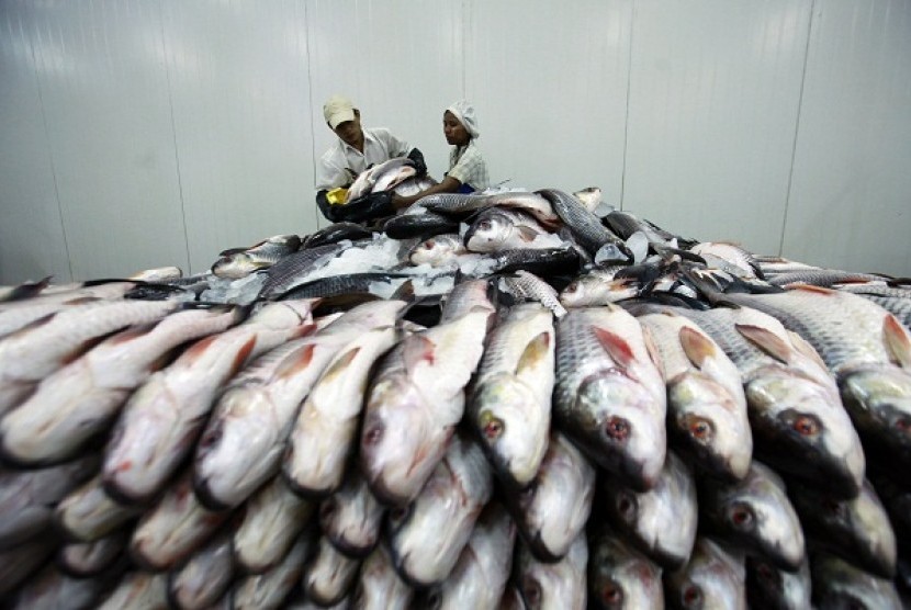 Employees work at a fish export factory at Hlaing Tharyar Industrial Zone in Yangon April 19, 2013. Indonesia will boost its cooperation with Myanmar while European Union is expected to lift all sanctions on Myanmar next week, except for an arms embargo, i