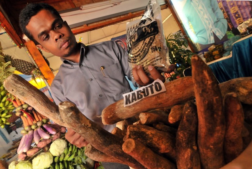 Seorang pegawai Badan Ketahanan Pangan menunjukan ubi yang telah dijemur (kabuto) sebagai olahan pangan nonberas. 
