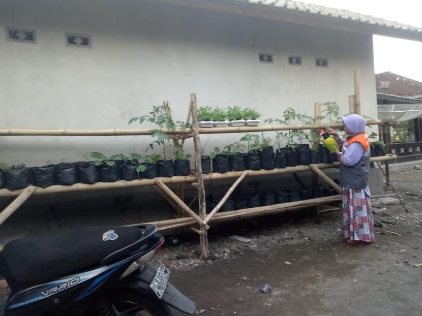 Relawan Rumah Zakat Ermayani memanfaatkan limbah plastik seperti sterofoam bekas makanan dan gelas minuman plastik untuk menamam sayuran dengan cara hidroponik.