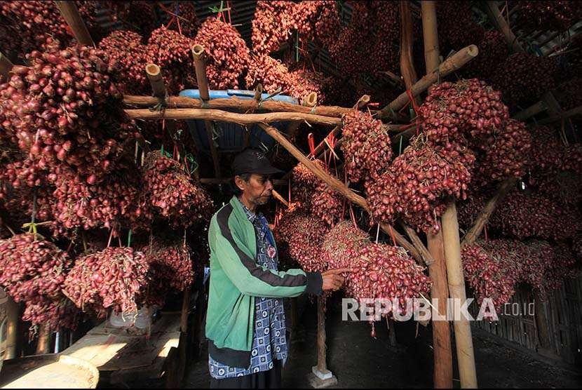 Petani menyimpan bawang merah hasil panennya (ilustrrasi)