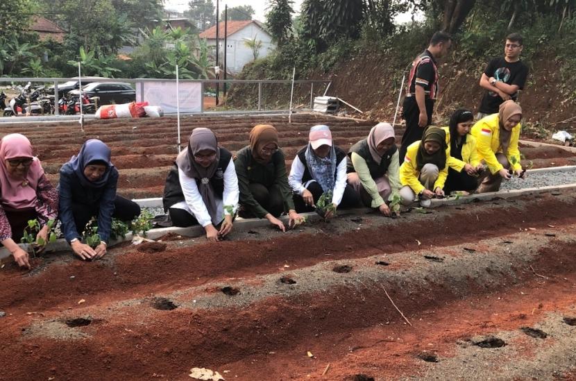 Fakultas Farmasi UI dan TIKA melatih warga Sasak Panjang, Bogor, dalam melakukan budi daya tanaman organik. 