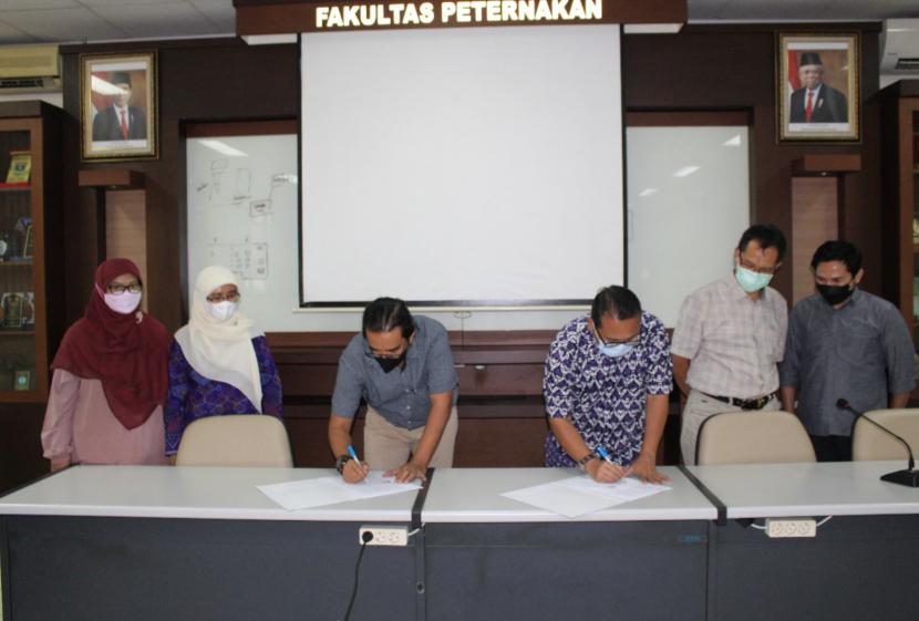 Fakultas Peternakan IPB University menjalin kerja sama dengan PT Santana Manggala Karya untuk produksi sorghum.