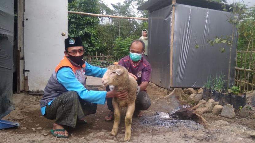 Fasilitator Rumah Zakat Desa Berdaya Bomerto, Rosid Al Usman mengunjungi kandang yang dimiliki oleh Hartoyo salah satu anggota BUMMas Ponjen Tani. Kunjungan dimaksudkan untuk mendata anakan dombos yang beranak pada tanggal 27 Mei lalu.