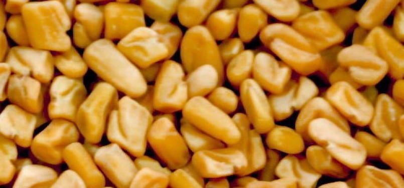 Fenugreek