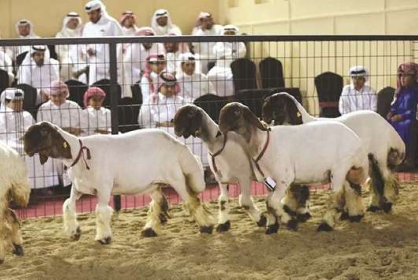 Festival Halal Qatar.