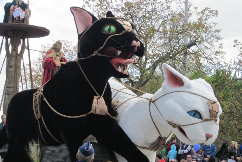 Festival kucing di Ypres, Belgia.