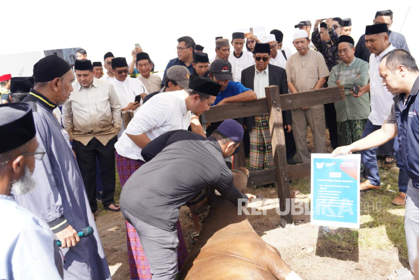 Festival Sinergi Kurban di Makassar, Jumat (6/6/2025).