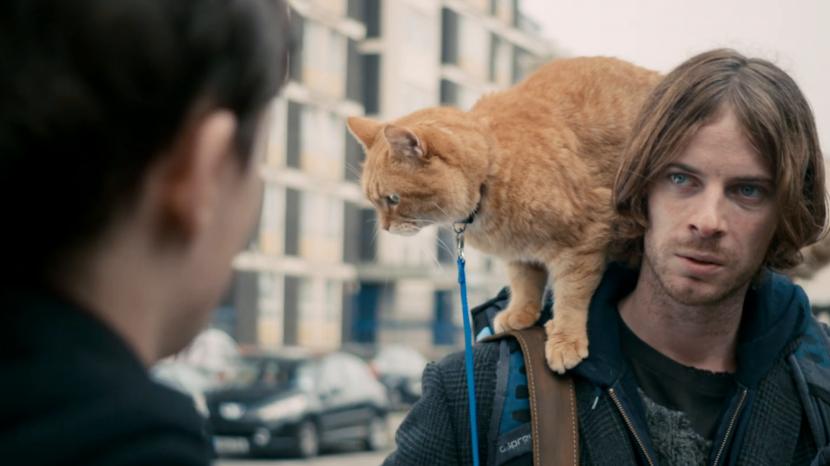 Adegan dalam fim A Street Cat Named Bob. Ini menjadi salah satu film yang seru ditonton oleh penyuka kucing. (ilustrasi)