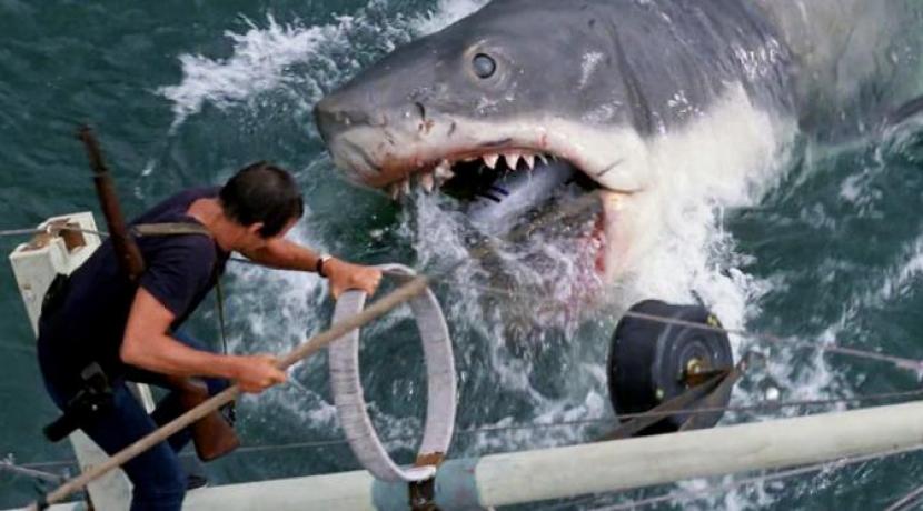 Film Jaws yang tayang pada 1975 mencekam bukan saja karena adegan serangan hiu, namun berkat music score-nya yang ciamik. Komposer John Williams adalah sosok penting di balik skor musik film ikonik Steven Spielberg itu. 