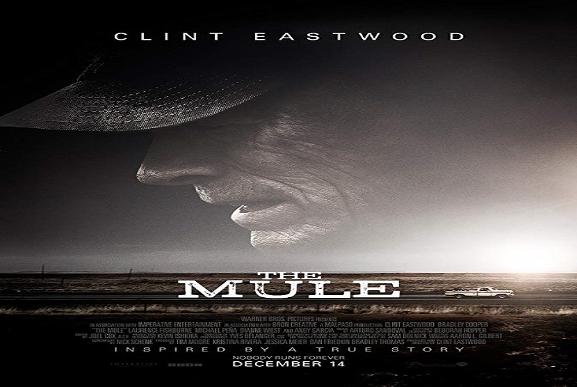 Film The Mule