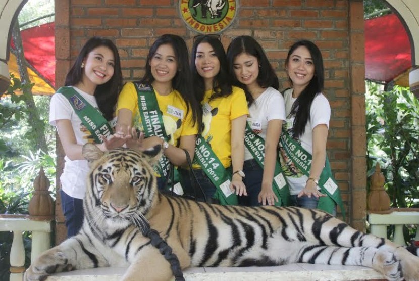 Finalis Miss Earth mendapatkan pembekalan cinta lingkungan dan satwa di Taman Safari Indonesia.