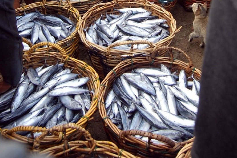 People's Coalition for Fisheries Justice (Kiara) criticized that state budget 2013 unlikely support food diversification, despite the key factor for food resilience. (illustration)  