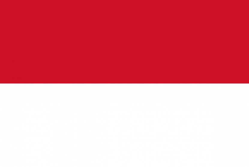 Flag of Indonesia (illustration)  