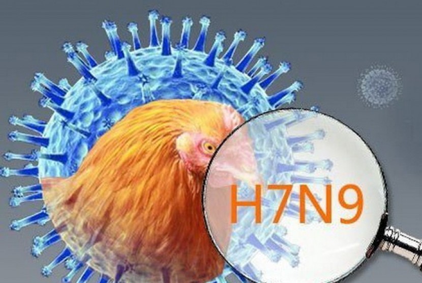Bird flu H7N9 strain. (Illustrasi)